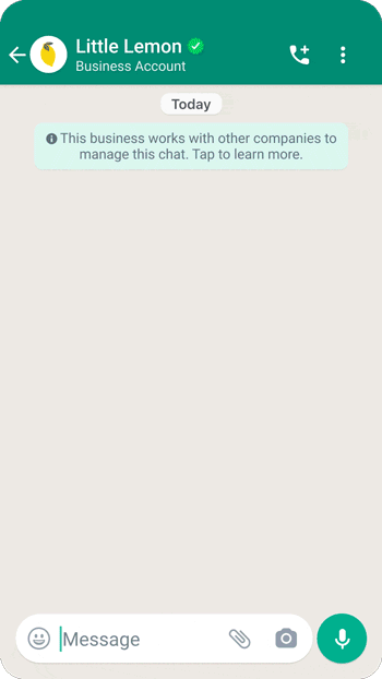 WhatsApp Preview